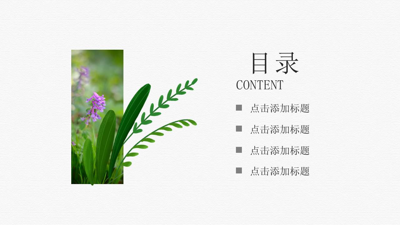 极简风格 (40).pptx